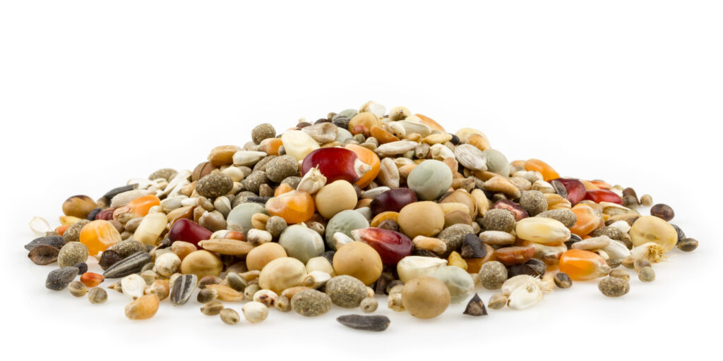 mifuma-brieftaubenfutter-zucht-und-mauser-sonderklasse