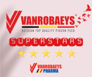 VANROBAEYS Superstars 2026…