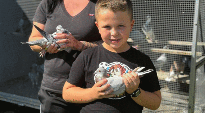 Levi Hering - Brieftaubensport mit der ganzen Familie...