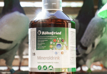 RÖHNFRIED MINERALDRINK...