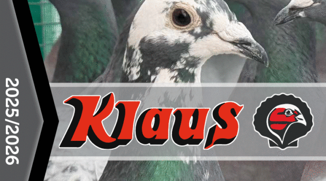 NEU - Die KLAUS Taubenpost 2026...