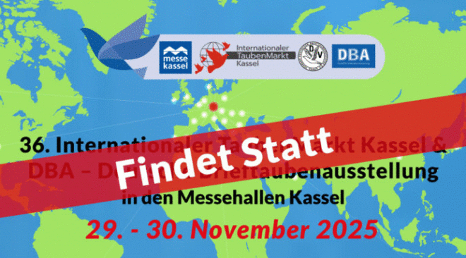 Gemeinsame Presseerklärung der Messe Kassel, des Internationalen TaubenMarkts und des Verbandes Deutscher Brieftaubenzüchter e.V.
