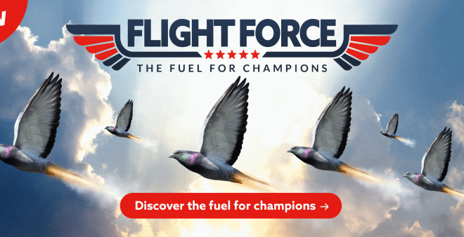 NEU 2026 !!! - VANROBAEYS Flight Force...