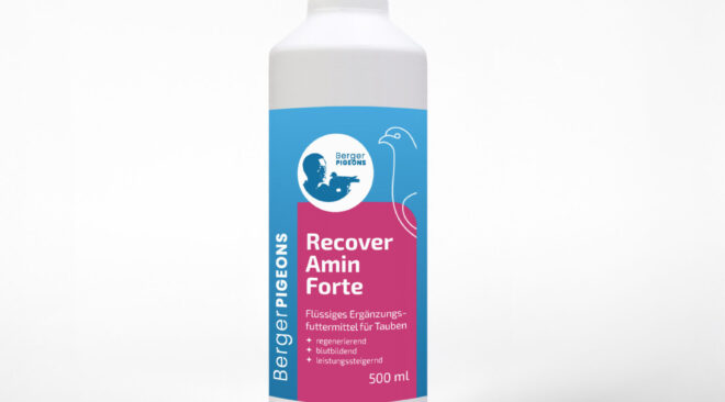 RecoverAmin Forte – Regenerationstonikum – 500ml