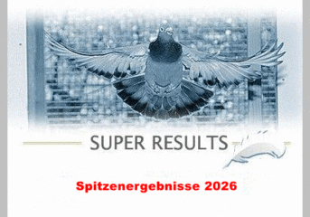 Spitzenergebnisse 2026...