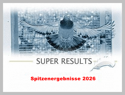 Spitzenergebnisse 2026...