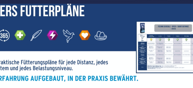BEYERS - klare und praktische Futterpläne...