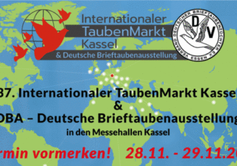 Termin vormerken - DBA 2026...