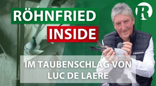 Röhnfried Inside: Taubensport aus nächster Nähe...
